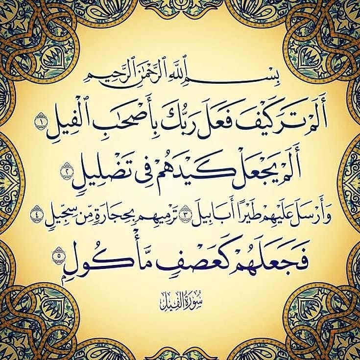 سوره فیل قرآن پدیا 0585